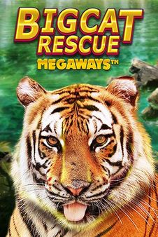 Big Cat Rescue Megaways